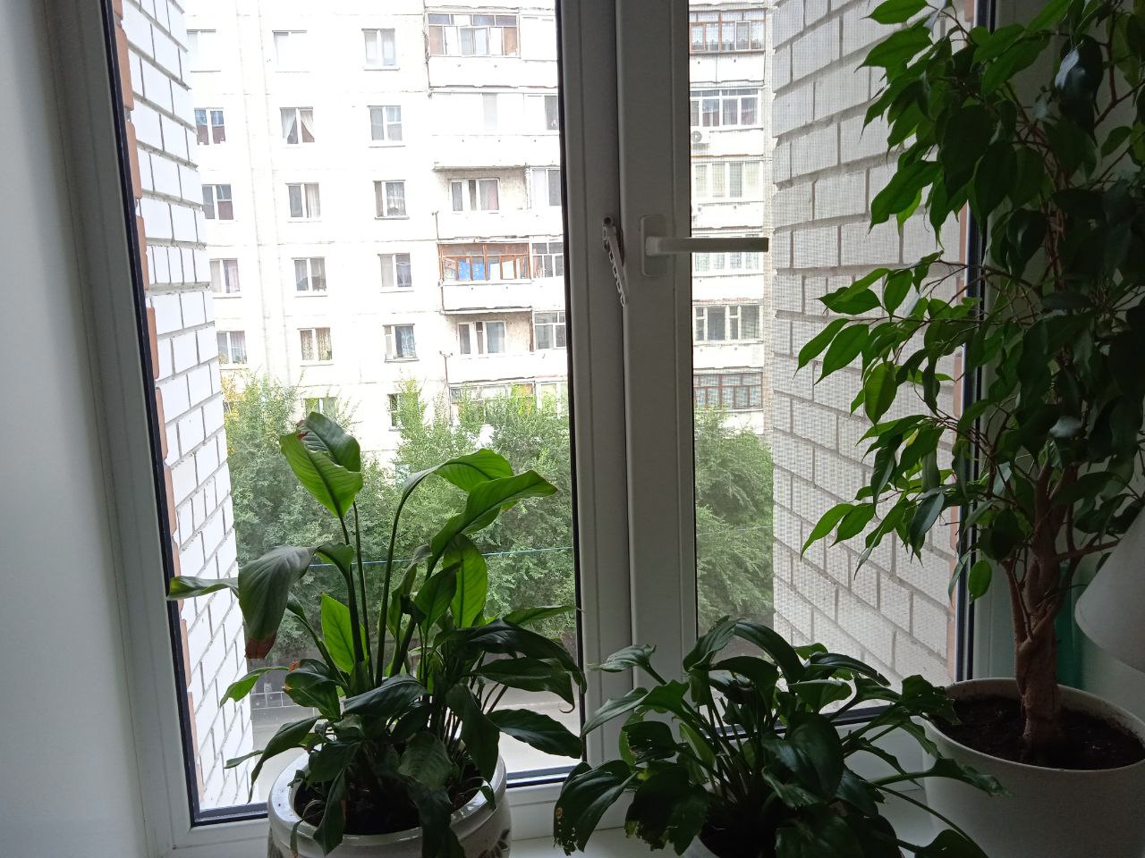 https://oktyabrskij.delaem-okna.ru/storage/app/uploads/public/63f/332/8c0/63f3328c0d6f7867060515.jpg